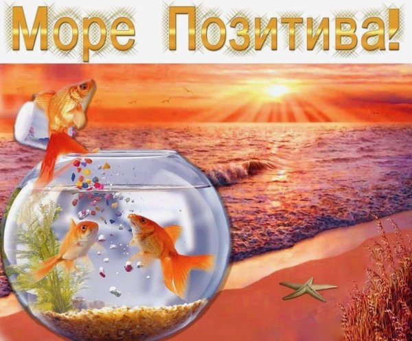 Желаю море позитива