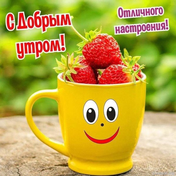 Позитивные открытки с добрым утром