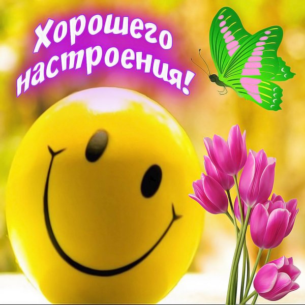 Веселого утра и дня