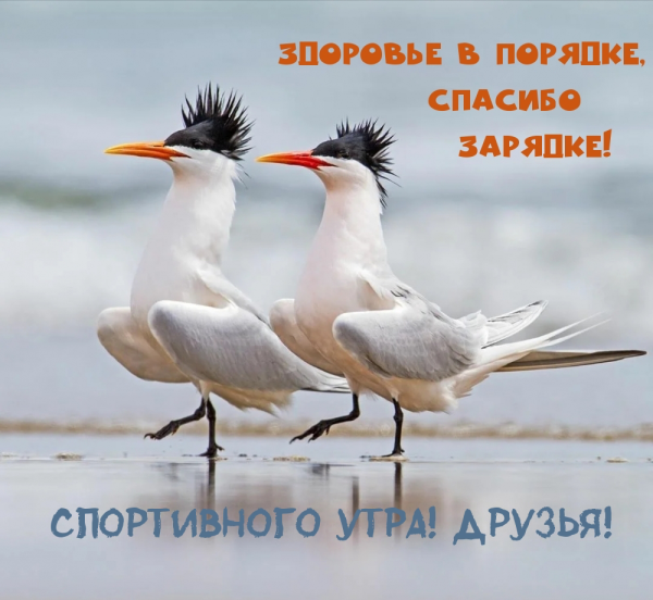 Красивые цитаты про лето