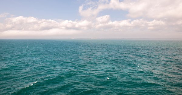 Море фото настоящее