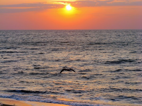 Море близко