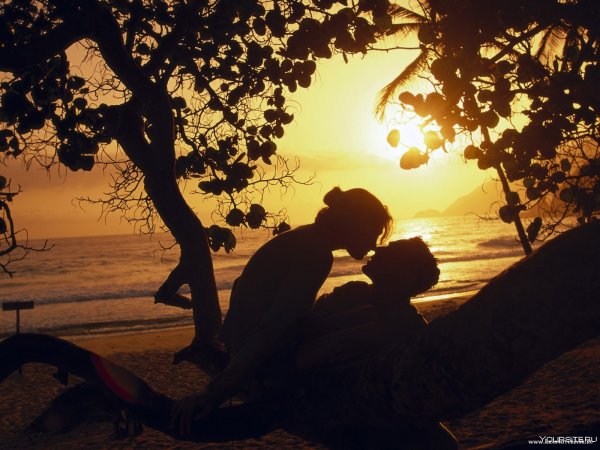 Влюбленные на море