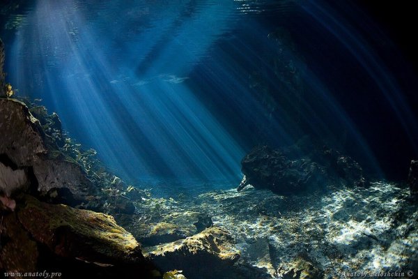 Подводное дно