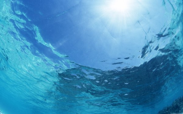 Дно Тихого океана Марианский желоб