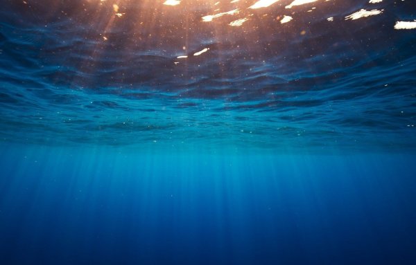 Морское дно