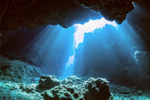 Подводный мир