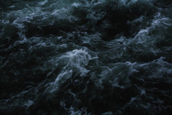 Aristotle and Dante Dive into the Waters of the World