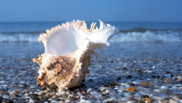 Лазурное море