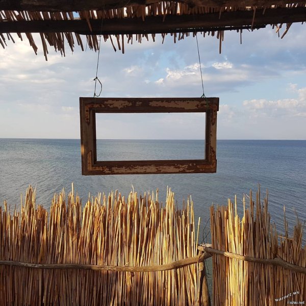 Опять про море Синьор Робинзон