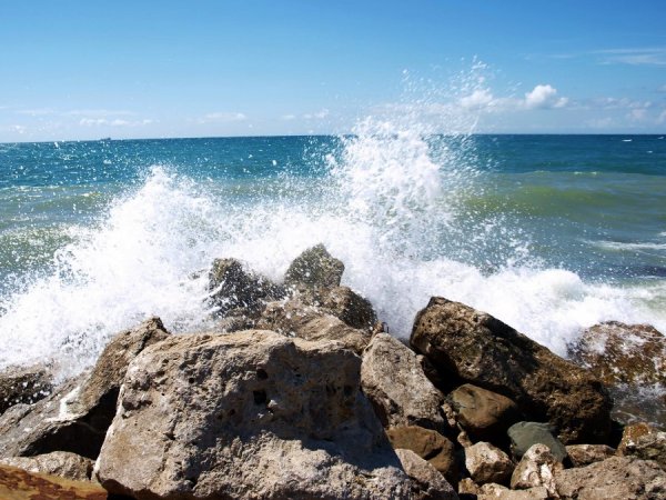 Скалистый берег Туапсе