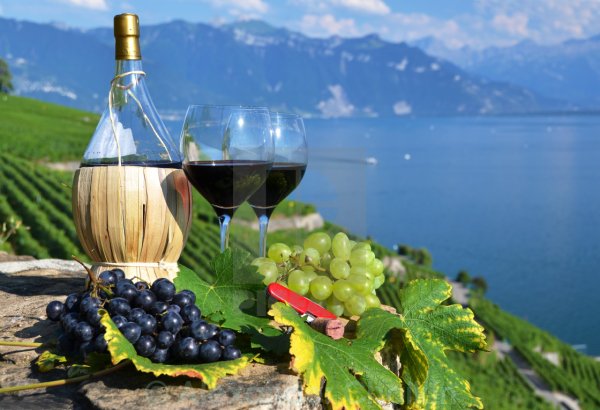 Болгария вино и море