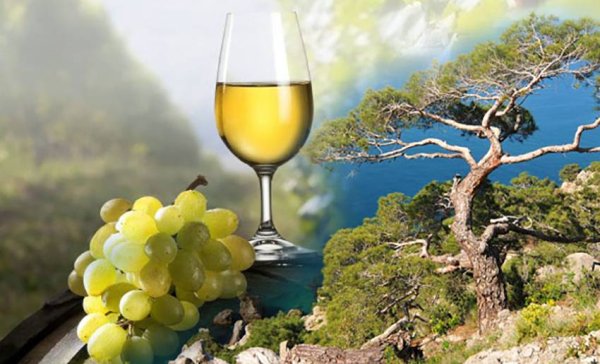 Вино виноградники Крым