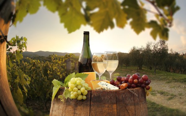 Шардоне виноград