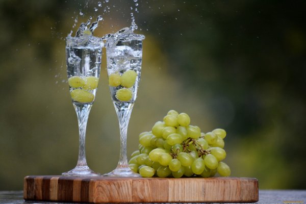 Вино и виноград