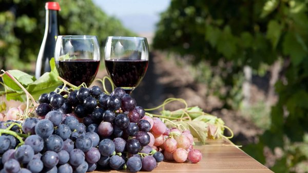 Виноградники Крита