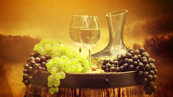 Виноделие Тоскана поле