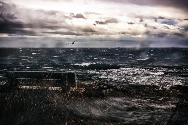 Пасмурное море