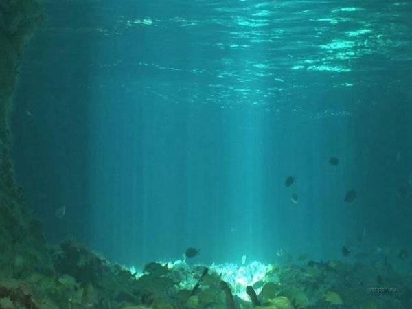 Море гача лайф