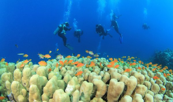 Красное море Шарм-Эль-Шейх