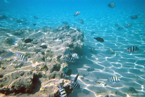 Красное море Хургада