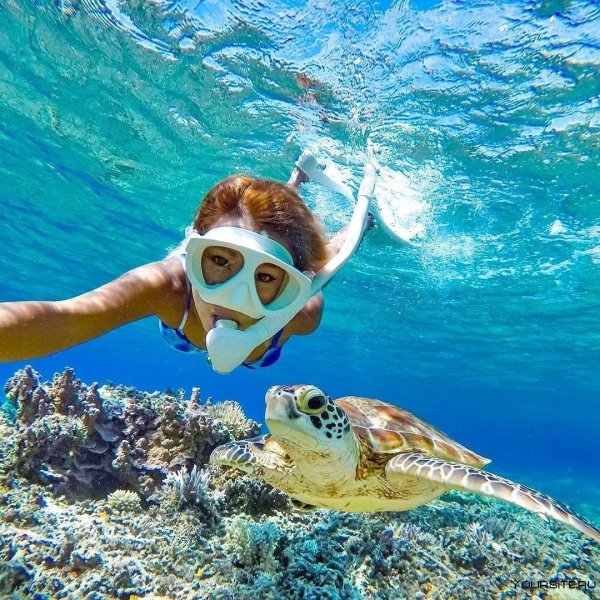 Роял Роджана Резорт Шарм-Эль-Шейх