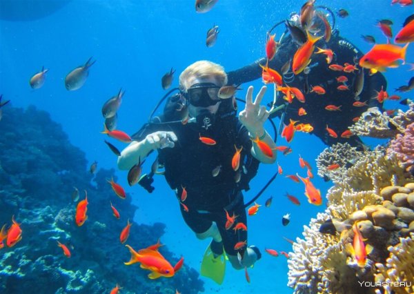 Снорклинг Шарм Эль Шейх