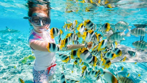 Риф Шарм-Эль-Шейх