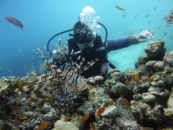 Рас Мохаммед дайвинг