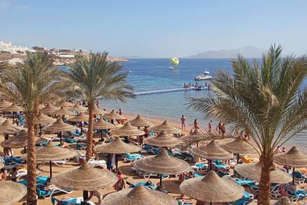 Риф в Египте Шарм-Эль-Шейх