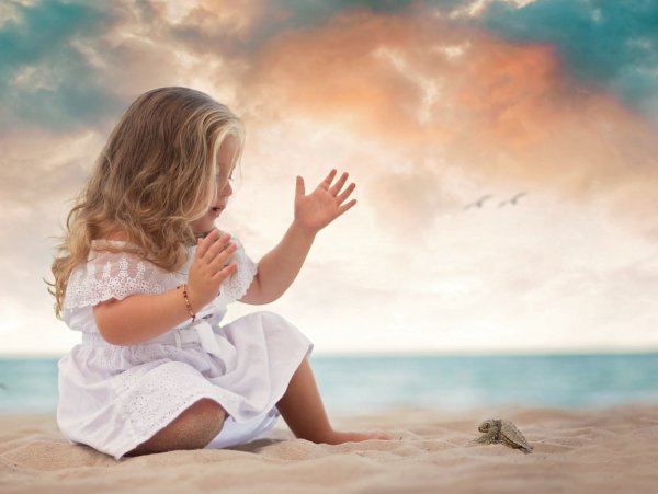 Семья на побережье океана