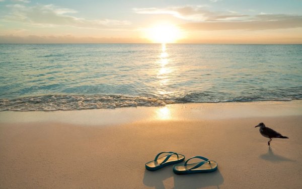 Утренний завтрак на море