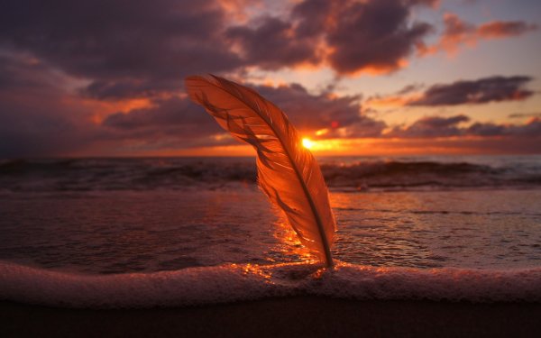 Картинки про море с надписями