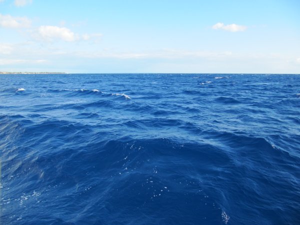 Маленькое большое море