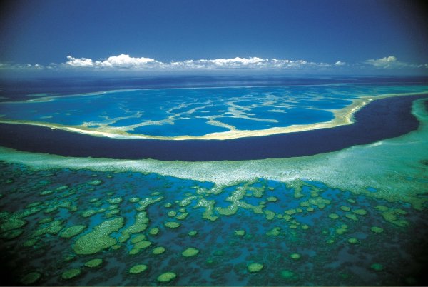 Калининград остров Куршская коса