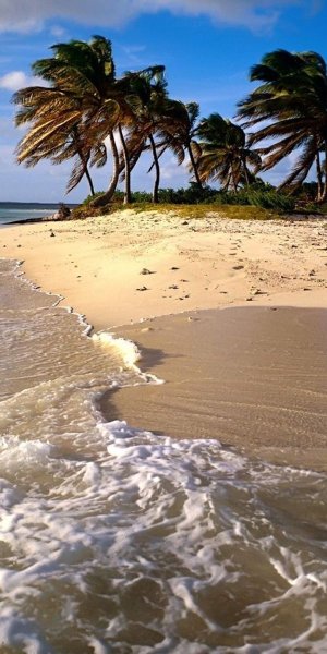 Гавайи ланикай Бич