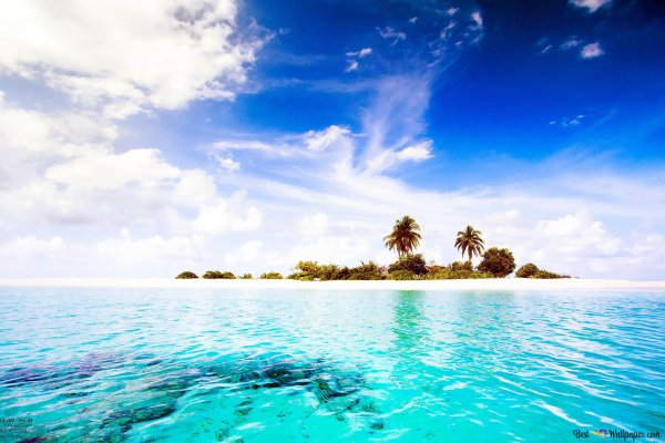 Рассвет лето море девушка