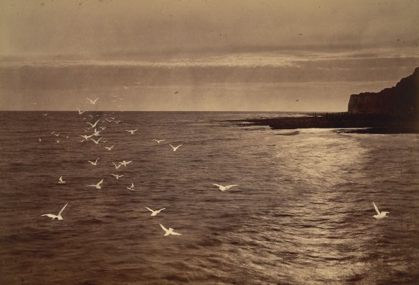 Генри Пич Робинсон леди шалот