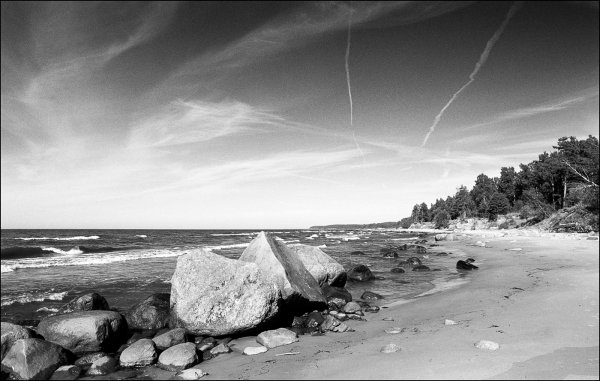 Забытый берег фото