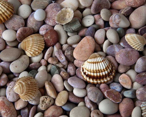 Морские камешки
