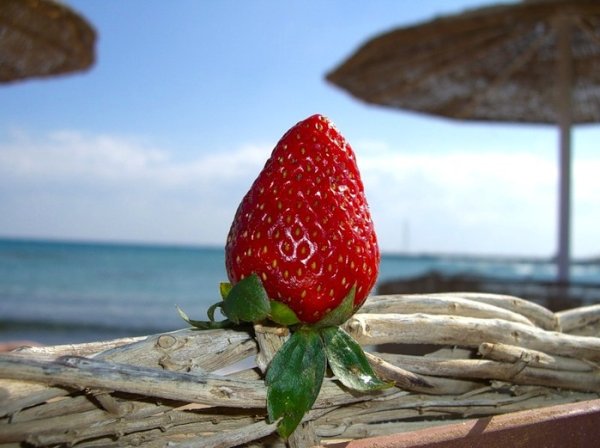 Клубника и море