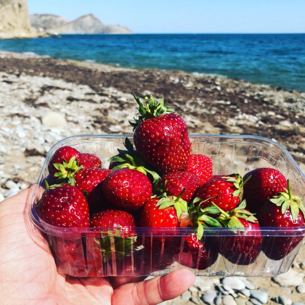 Море из клубники