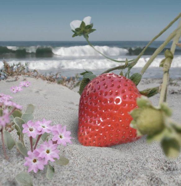 Клубника на пляже