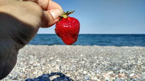 Лето море клубника