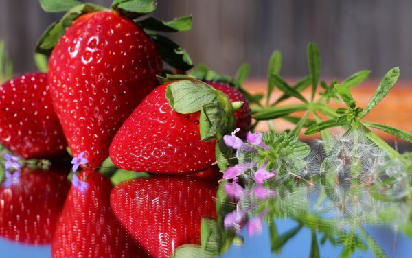 Клубника и море