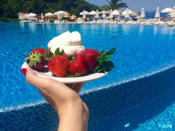 Тропический коктейль