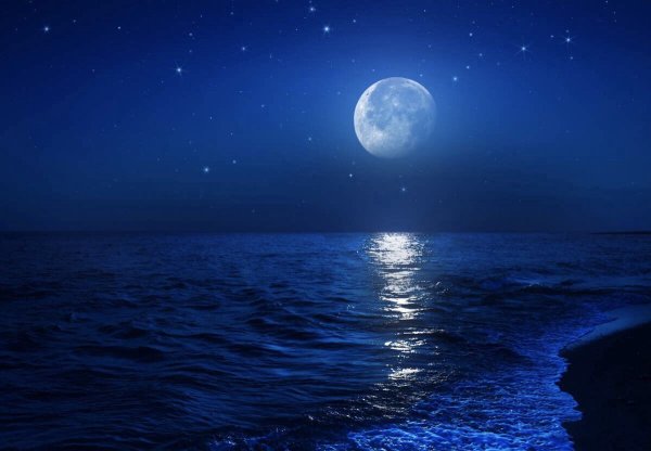 Ночное море