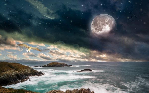 Ночь Луна море