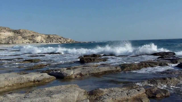 Самур Каспийское море