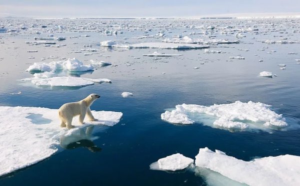 Гудзонов залив